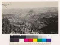 Looking toward Iron Mt. Into Deer Creek drainage. Note WYP chaparral, grass and open Digger pine woodland types