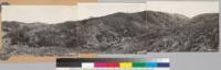 Panorama looking E to SW. North of Bendmore Valley, Lake County. Shows chaparral type of Adenostoma fasciculatum, Quercus dumosa, Ceanothus cuneatus, Pickeringia montana, Arctostaphylos glandulosa, Arctostaphylos stanfordiana with sugar pine relicts. Note sugar pine destroyed by recent fire