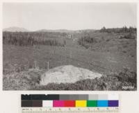 South of Table Mountain. Looking east at area of timberland chaparral composed of Arctostaphylos patula, Quercus vaccinifolia, and an occcasional Garrya fremontia. Scattered colonies of Ceanothus cordulatus. Remnant coniferous types are White fir and White fir-Jeffrey pine