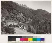 Point on highway west of Loganville. Looking northeast towards Sierra Buttes. Shows scrubby woodland of canyon live oak on south slopes into Yuba River