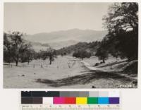 Looking east across Cumming and Brite Valleys toward Double Mt. Open woodland of valley and Douglas oak on north face with Artemisia tridentata groundcover