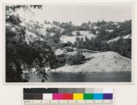 Ridgwood Ranch. Grass-hardwood type. Garry oak. Associated species:Pseudotsuga taxifolia