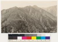 Shows 1924 burn coming back to mixed brush. Also on right are shown the more barren south slopes coming back to a chamise type with Lotus scoparius, Ceanothus cuneatus, Rhus ovata, mixed in