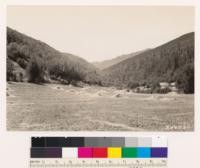 Shasta County. Looking NW showing types on contrasting slopes. N. slopes at left a chaparral woodland: Quercus garrya var breweri, Cercocarpus betuloides, Quercus wislizenii frutescens, Fraxinus dipetala with buckeye and black oak. S slopes chamise chaparral and stand of ponderosa pine in association with Digger pine and black oak