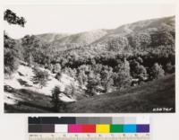 Looking south toward Nacimiento R.S. Grassy woodland type of Douglas oak in foreground. Mixed chaparral, knobcone pine and dense woodland on north slopes facing camera