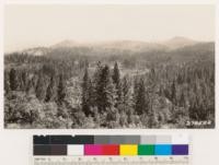 Looking NE from Sugar Pine Mt. General view of timber types with Pinus ponderosa, Quercus kelloggii and Pinus lambertiana mixed with chaparral patches of Ceanothus cuneatus, C. integerrimus and Arctostaphylos viscida. Cultivated and grass areas show agricultural development