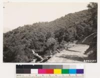 Looking east. Shows chaparral of Quercus dumosa and Cercocarpus betulaefolius surrounded by coast live oak woodland. Amorpha californica noted in woodland type. From pt. On road to Hi Mt