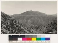 Looking southwest across Little Rock Creek. Open pinon type in foreground on left. Open areas at left and north slopes across Eriogonum fasciculatum. Los Angeles County