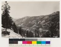 Looking across Matterhorn Canyon from mouth of Wilson Creek. Mountain hemlock-White pine type on northerly exposure. Lodgepole pine in canyon bottoms