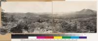 Panorama looking north and northeast showing Long Valley Peak and Oak Valley. Note coast live oak woodland along valley with scattered Jeffrey pine, also Engelmann oak woodland on upper left slope