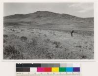 Reno Quadrangle, Nevada. Semi barren sage on hill with Artemisia tridentata, Grayia spinosa, Bromus tectorum and patches of lava scab land intermixed. 1.5 miles south of Clarks's station