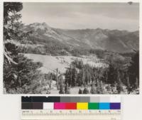 Truckee Quadrangle, California, Tahoe National Forest. Looking southeast from Mt. Lincoln to Anderson Peak left. Mixed stands of Abies magnifica, Abies concolor in sub-alpine zone, framed by Pinus monticola