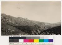 Upper portion of Ojai Valley. South exposure showing chamise and scattered Rhus laurina. Topa Topa bluff in left background