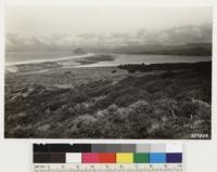 Looking north toward Morro Bay. Shows almost dense stand of Arctostaphylos morroensis in foreground