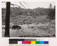 Looking west from point on Nevada City- N. San Juan Highway. Ponderosa pine site supporting mosaic type of Pinus ponderosa, Quercus kelloggii and Arctostaphylos viscida as a result of repeated fires