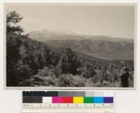 Looking S from Wellington Hills to Sweetwater Mountains on skyline. Note bands of pinon alternating with sage in middle distance. Sage here apparently as a result of deforestation by fire in the past. No reforestation in this case after burning