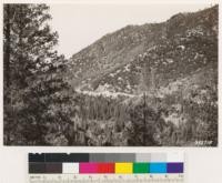 South of Loganville on trail to Keystone Mine. Looking northwest at slopes of north fork of Yuba River. Note Canyon oak type on thin rocky soil. Brushfields : Ponderosa pine and Douglas fir in deeper soils