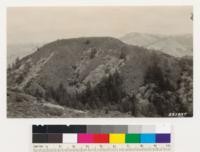 Shows southwest slope with sage type, (Artemisia californica and Diplacus glutinosus) isolated Douglas fir, canyon bottom redwood and Douglas fir, buckeye woodland, laurel clumps and Ceanothus thyrsiflorus. San Mateo County