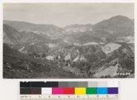 Looking northwest down Cold Creek. Trees on canyon bottom are Quercus agrifolia. Types are sage, chamise and chamise-ceanothus. Note bare faces of exposed sandstone. Los Angeles County