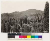 From point on Wawona Road at south boundary of Yosemite Park. Looking west at area deforested by fire subsequent to logging. Present cover Ceanothus cordulatus and california black oak. Formerly sugar pine, ponderosa pine, white fir and Incense cedar type