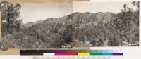 Panorama looking east and southeast. Showing Pinon type. Shrubs: Quercus dumosa, Arctostaphylos glauca, with occasional Juniperus occidentalis. Note bigcone spruce on steep rocky slopes