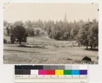 Looking south. Shows property line fence as type boundary between ponderosa pine and open woodland (Interior live, Douglas and Black oaks). Valley oaks in plot in foreground. Sample plot 6-E-15 taken in this Ponderosa pine type