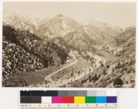 Looking up Lytle Creek. Western yellow pine type along the center of the wash and in the background. Bigcone spruce and canyon oak type at the left. Cercocarpus sp. Type on the right