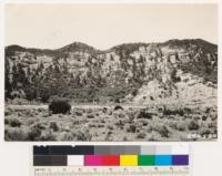 1/2 mile west of Ozena, looking south across Cuyama Wash. Sagebrush in wash are: Artemisia tridentata, Chrysothamnus sp.. Chaparral on slopes: Quercus dumosa, Cercocarpus betulaefolius, Juniperus californica. Note bigcone spruce on eroded slopes