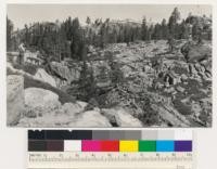 Donner Pass. Land unsuitable for timber crops. Trees: Pinus ponderosa jeffreyi and Pinus contorta var. murrayana. Shrubs: Quercus vaccinifolia. Nevada County