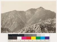 Rattlesnake Canyon and Rattlesnake Peak. Shows Spruce growing on north exposure of the canyon