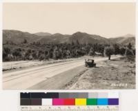 Looking west at Pine Valley burn of 1928. Note Jeffrey pine-coast live oak type