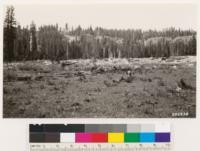 Barren rim surround McGowan ranch. Red fir on base and top of rim