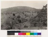 Looking northwest. Top of slope Black oak woodland. Below this chamise type with relict Coulter pine. Woodland type at left is Engelmann oak