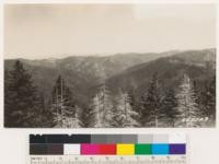 Looking up Bluff Creek drainage. Douglas fir type in right and knobcone pine, brush and Douglas fir types on left