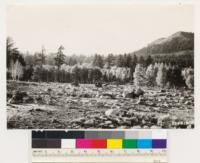 Looking northwest from west side of Hope Valley. Aspen and Jeffrey pine types