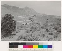 Carson Quadrangle, Nevada. Looking north to Gold Hill. Most of mine dumps indicate abandoned operations. Ghost town. Pinyon pine in left foreground