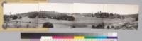 Panorama of Bendmore Valley looking SW to E, Note remnant stand of sugar pine-ponderosa pine type. Relicts in chaparral are sugar pine. Associated hardwoods, madrone, canyon oak and black oak. Chaparral consists chiefly of Adenostoma fasciculatum, Quercus dumosa and Arctostaphylos glandulosa