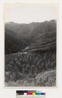 Direction WNW. Vegetative types: Redwood, Chamise, Chaparral. Species: R, D, Af, Cri, Ct. Location on knoll east of of CCC camp, across Fern Canyon. Redwood Canyon on left. CCC camp in center. Firebreak going towards West Point