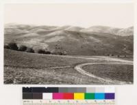 Looking north from point on Crocker Spring road. Shows grassland area, Fremont poplar in foreground