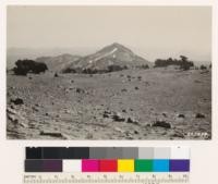 Barren slope at base of Mt. Lassen. White Mountain in background. Trees close are Hemlock and Pinus monticola