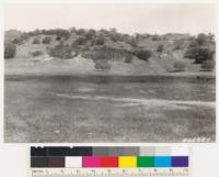 Looking northeast at slope of Engelmann oak. Note deterioration to sage (Salvia apiana) and chamise types. Grass in foreground