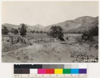 Looking northwest from same point as # 265801. Note patchy chamise type in sage (Salvia apiana and Eriogonum fasciculatum) which replaces chamise as a result of fire and erosion. Quercus agrifolia in foreground