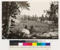 West slope of Jeff Davis Peak. Shows willow type at junction of Artemisia tridentata type on lava and Lodgepole pine types on granite