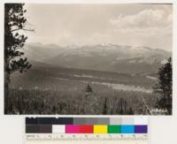 Looking over Moraine Flat towards Lyell Canyon. Dense Lodgepole pine stand with an occasional individual Mountain hemlock and White pine. Meadow along creeks