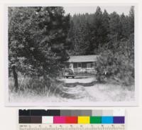 Whispering Pines on Highway 29. Summer cottage on forest land, typical private non-commercial recreational forest land ownership. Assoc. sp.: Ponderosa, Douglas fir, apple tree. County: Lake