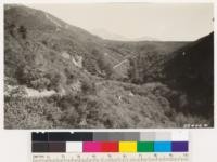 Taken of the mixed brush type and Ceanothus-chamise type at the head of the Stoddard Canyon drainage