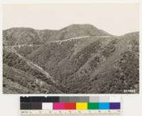 Taken from Bates Canyon road. The head of Bates Canyon showing canyon oak woodland on north faces, with Quercus dumosa and Cercocarpus betulaefolius