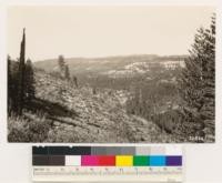 Looking west down into head of Oregon Creek. Note Forest City. Shows young growth stands of Sugar and Ponderosa pine, White fir, and incense cedar. Timberland chaparral in foreground composed of Ceanothus cordulatus, Arctostaphylos patula, Castanopsis sempervirens, Prunus emarginata and Rhamnus californica with an occasional California Black oak