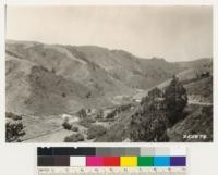 Looking north from point on Half Moon Bay-San Mateo highway. Artemisia californica on open exposed south faces. Note Douglas fir remnants