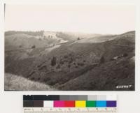 Looking northeast. Southerly slopes similar to view # 255666. Redwood and chaparral types in distant background. Note Artemisia vulgaris and Pteris in foreground at right